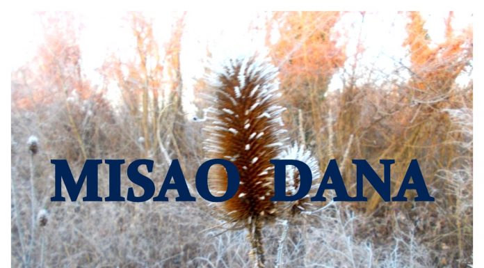MISAO DANA