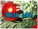 MISAO DANA