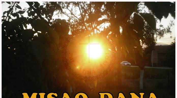 MISAO DANA