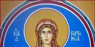 SVETAC DANA – Sveta Gorgonija