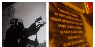 NEMOJMO PSOVAT ! (Posvećeno Blagi Zadri)