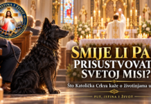 SMIJE LI PAS PRISUSTVOVATI SVETOJ MISI? – ŠTO KATOLIČKA CRKVA KAŽE O ŽIVOTINJAMA U CRKVI