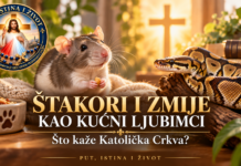 ŠTAKORI I ZMIJE KAO KUĆNI LJUBIMCI – ŠTO O NJIMA KAŽE KATOLIČKA CRKVA?