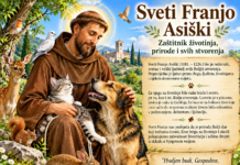 Sveti Franjo Asiški – svetac koji je u svim stvorenjima prepoznavao Božji dar